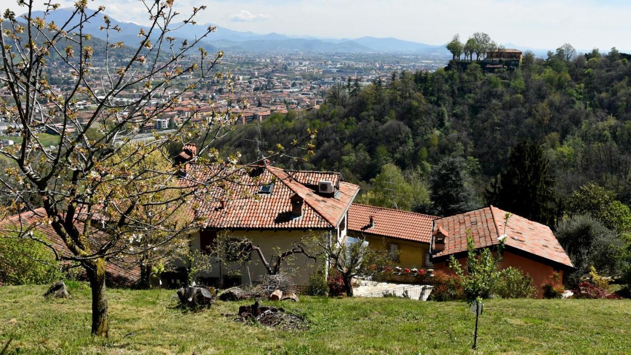 Apartament Il Giardino Di Berbech Citta Alta-Ulivo Bergamo Zewnętrze zdjęcie
