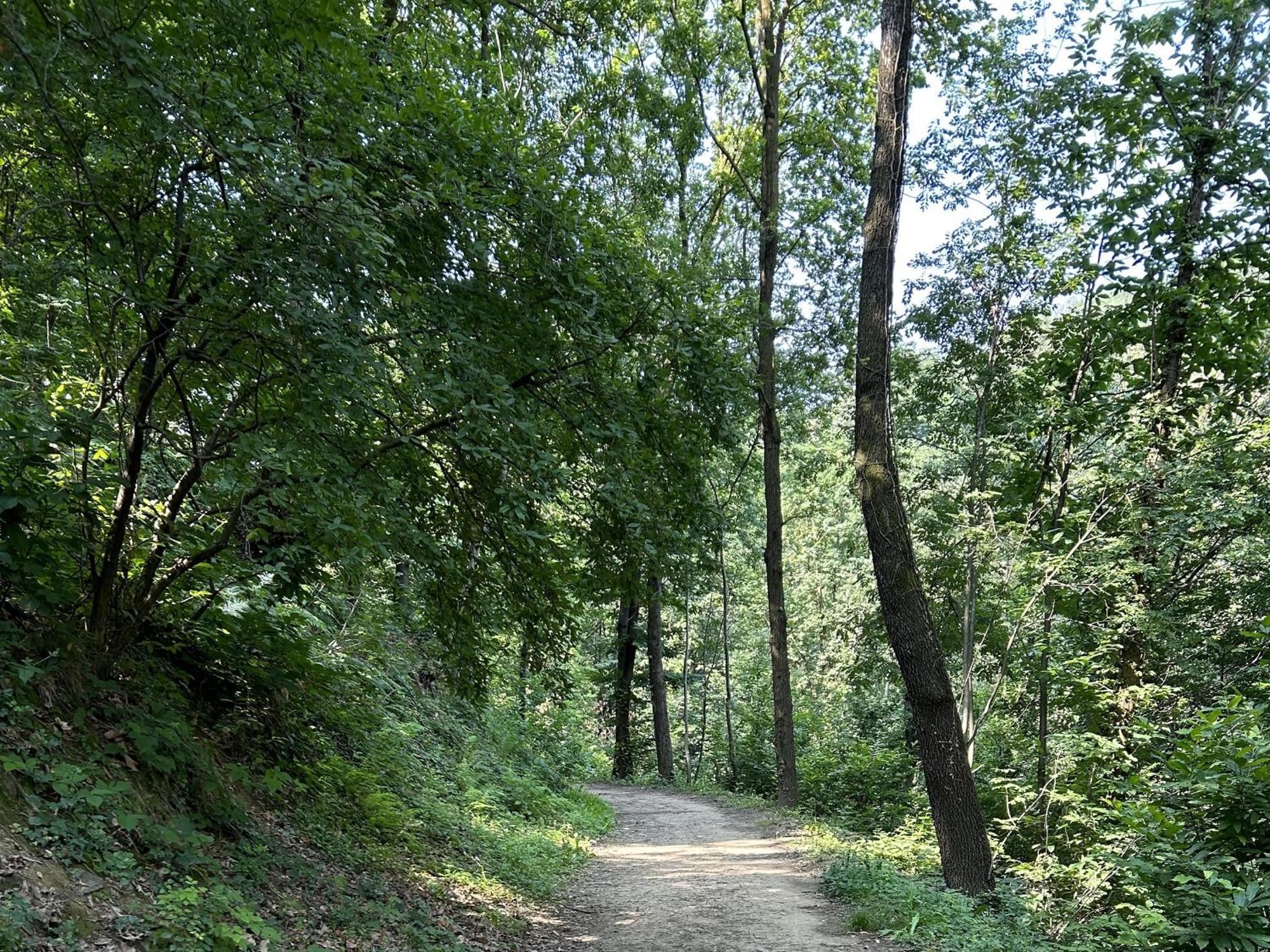 Apartament Il Giardino Di Berbech Citta Alta-Ulivo Bergamo Zewnętrze zdjęcie